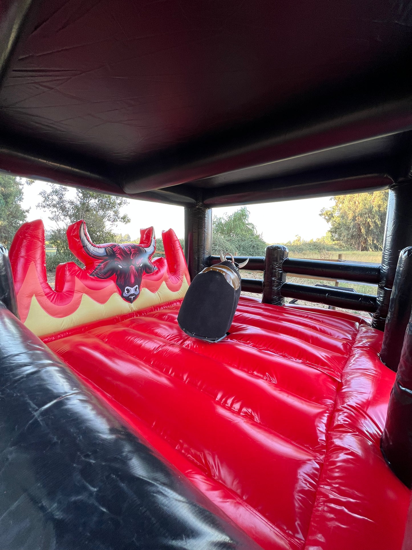 Toro Mecanico Diablo Negro