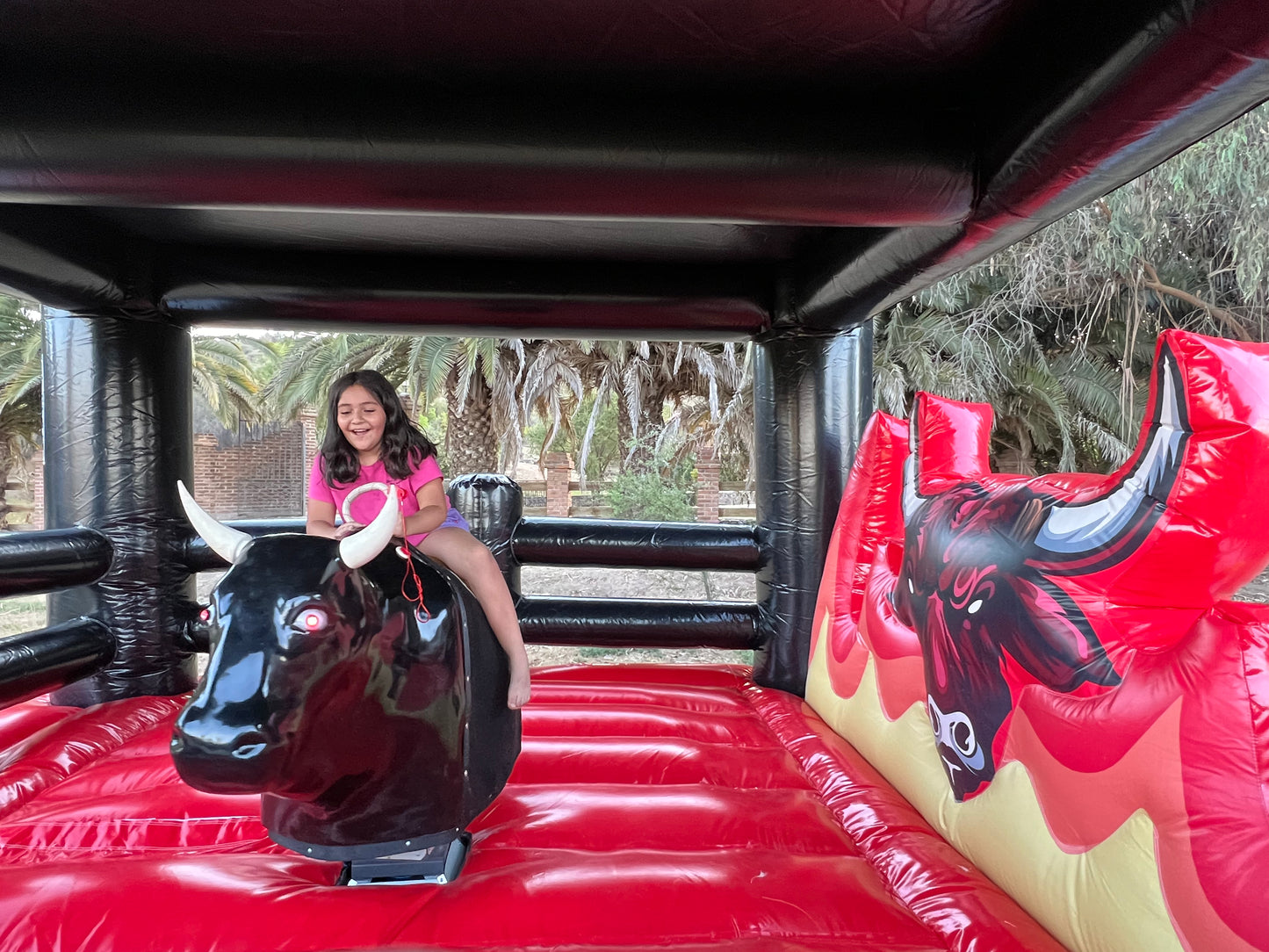 Toro Mecanico Diablo Negro