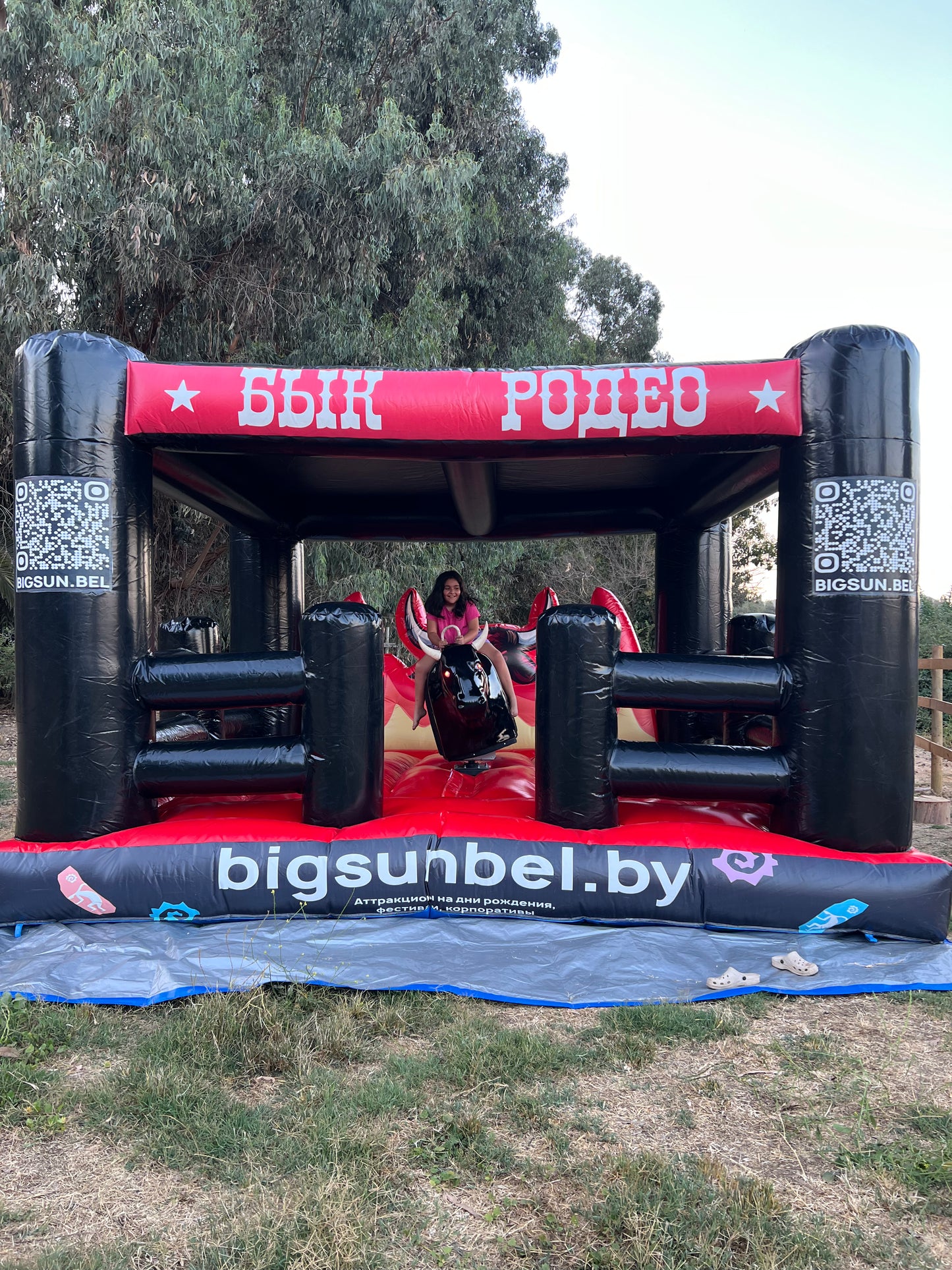 Toro Mecanico Diablo Negro