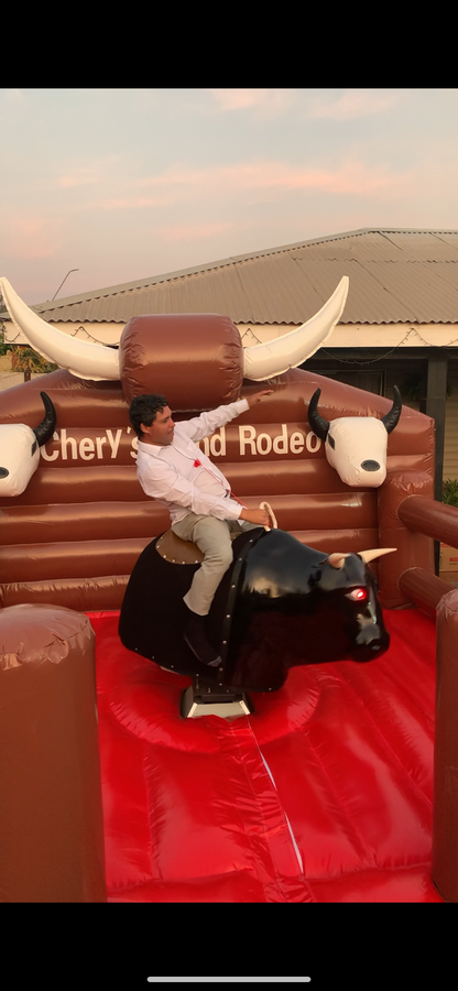 Toro Mecanico