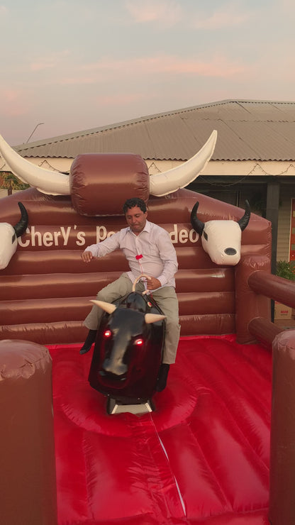Toro Mecanico